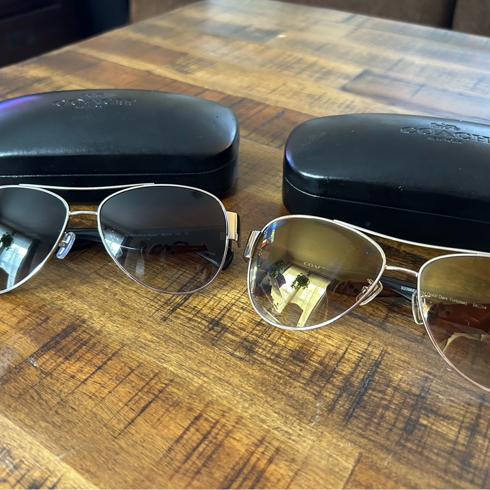 Coach Horse and Carriage sunglasses